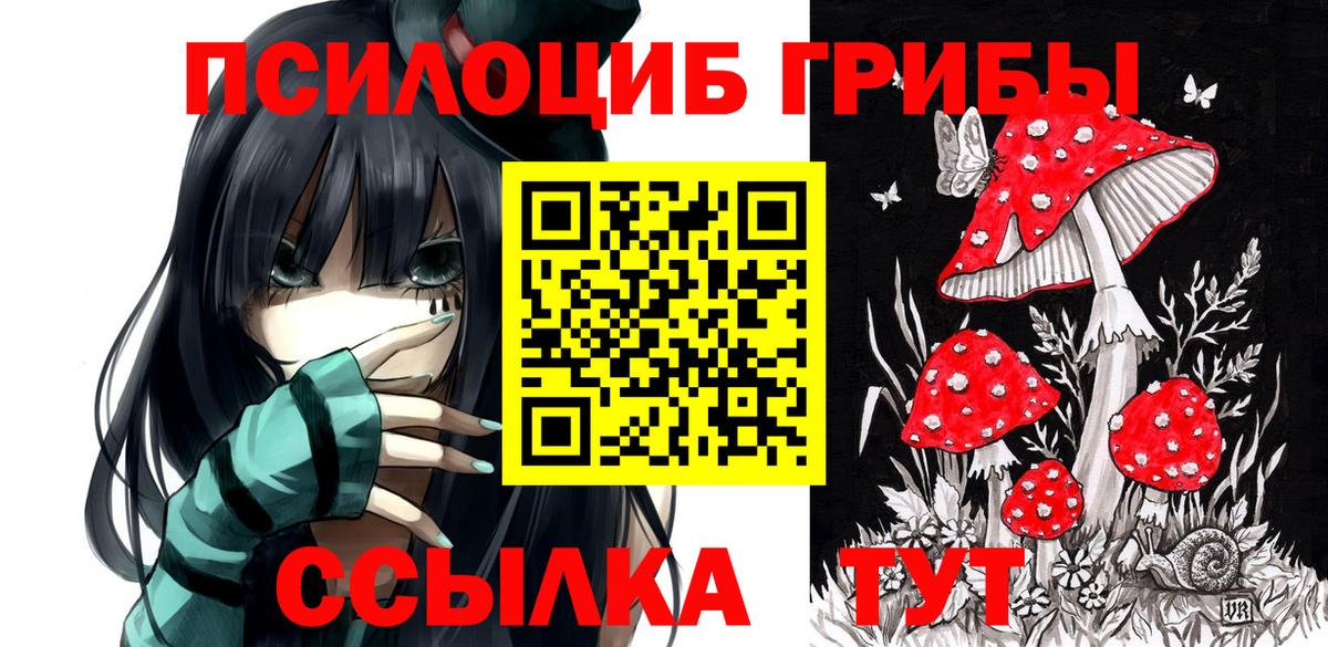 Псилоцибиновые грибы прущие грибы Ханты-Мансийск