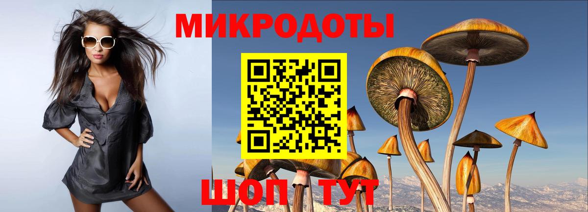Галлюциногенные грибы Psilocybine cubensis  Вход с VPN  Ханты-Мансийск 